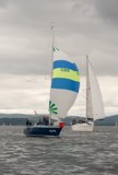 bluefin 2555c whyw23 tue 800 4061